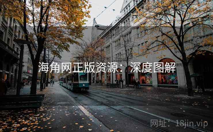 海角网正版资源：深度图解